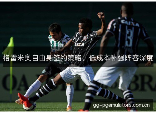格雷米奥自由身签约策略，低成本补强阵容深度